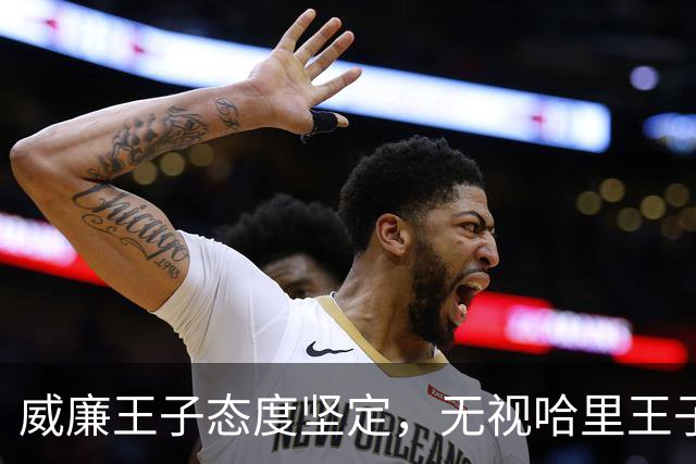 威廉王子态度坚定，无视哈里王子的和解请求，依旧拒绝原谅他
