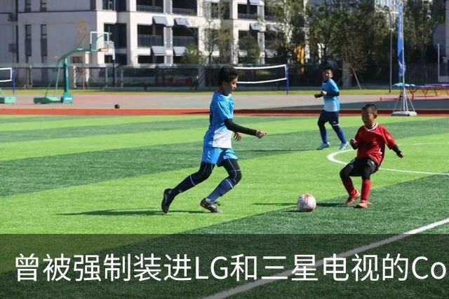 曾被强制装进LG和三星电视的Copilot，今年要停了