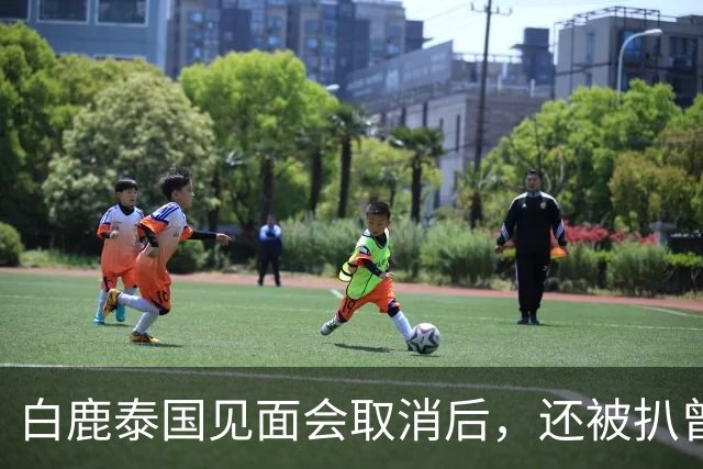 白鹿泰国见面会取消后，还被扒曾为缅北拍宣传片，知情人爆料更多